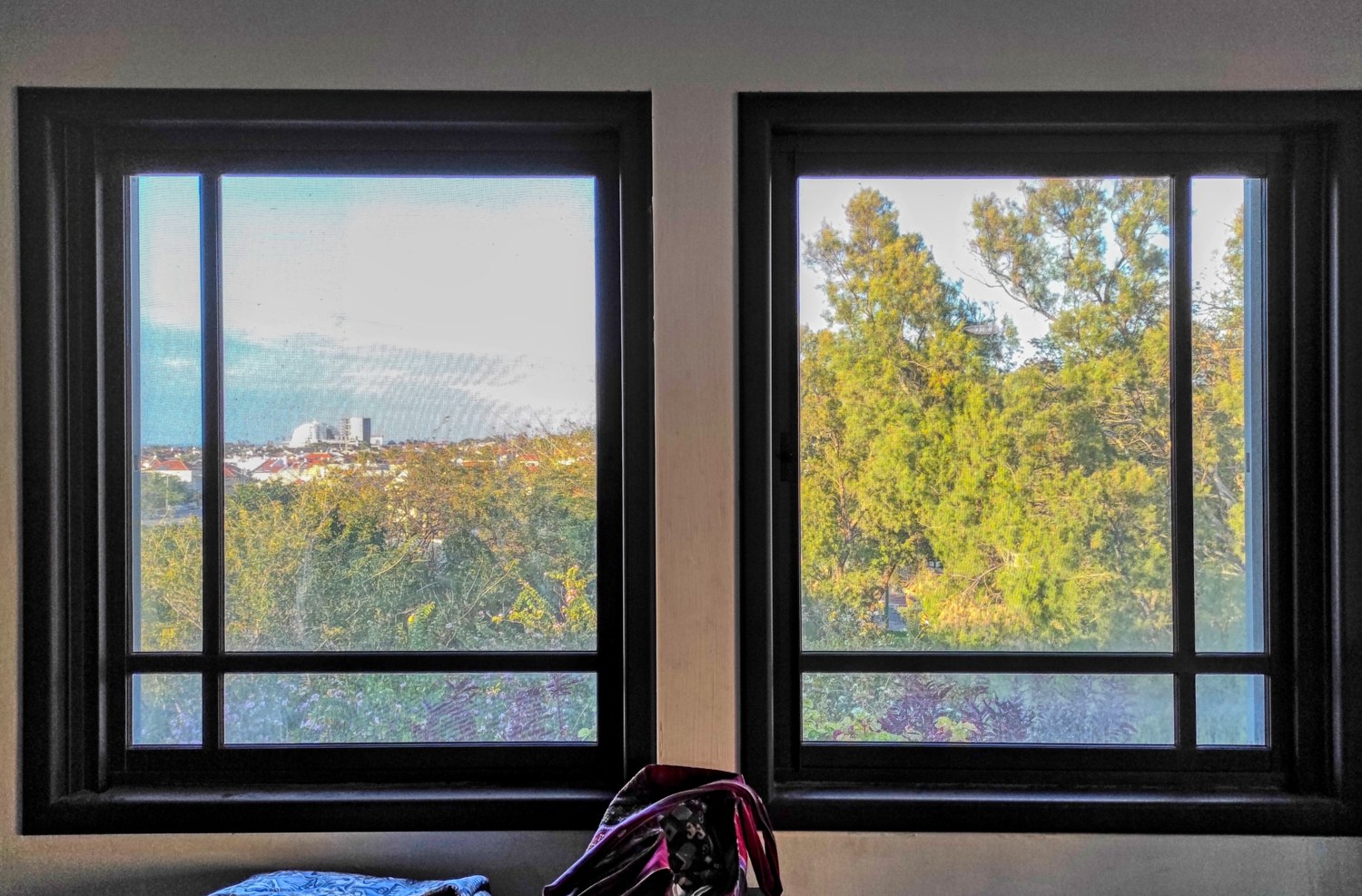 IMG_20210325_170149_hdr